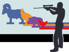 22 Rifle Silhouette League