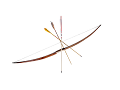 Outdoor 3D Archery
