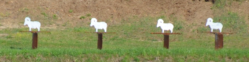 Center-fire rams at 200 meters