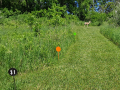 3D Archery open field target