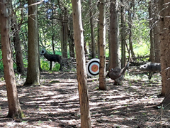 3D Archery wooded fauna target