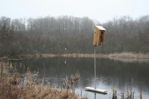 Wood Duck Nest Box