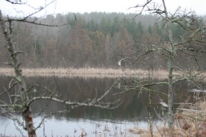 Wood Duck Nest Box